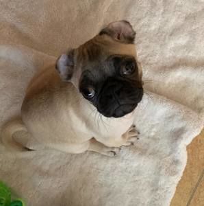 Meet your Posher, Kiet